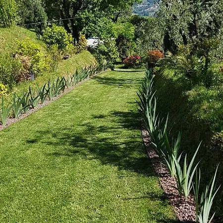 Petrognano *