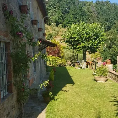 Petrognano *