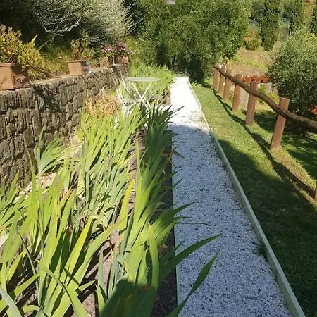 Holiday home Petrognano *