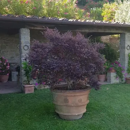 Ferienhaus Petrognano Petrognano (Lucca)