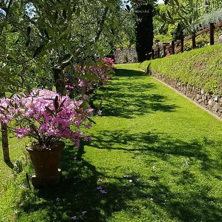 Petrognano