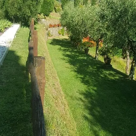 Ferienhaus Petrognano