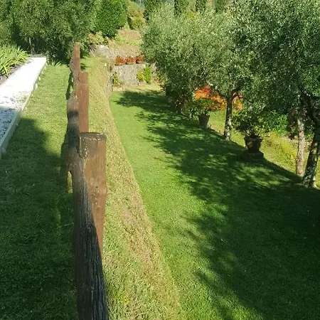 Holiday home Petrognano