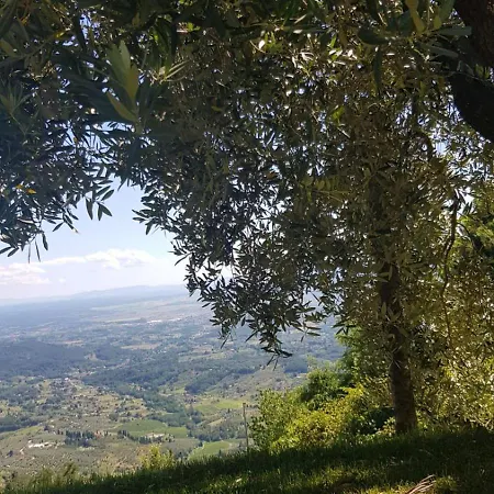 Petrognano Petrognano (Lucca)