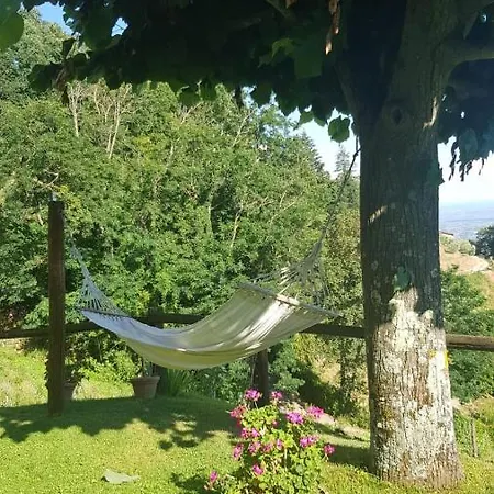 Ferienhaus Petrognano