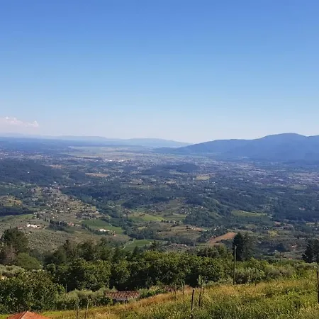 Petrognano